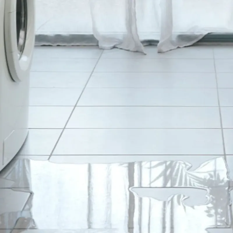 Appliance Leak Cleanup in Chapmanville, WV