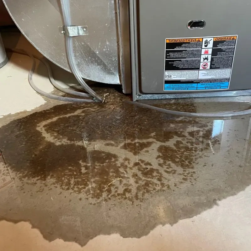 Pipe Burst and Leak Restoration in Chapmanville, WV
