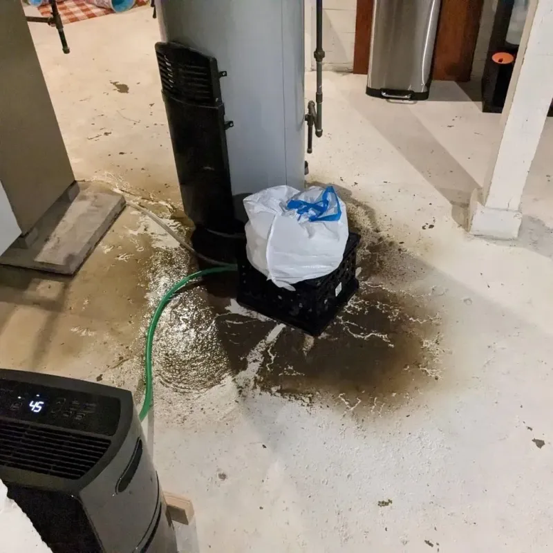 Sewage Backup Cleanup Service in Chapmanville, WV